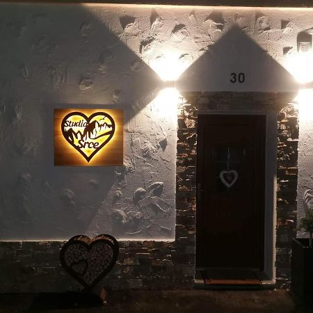Studio Srce Kranjska Gora Exteriér fotografie